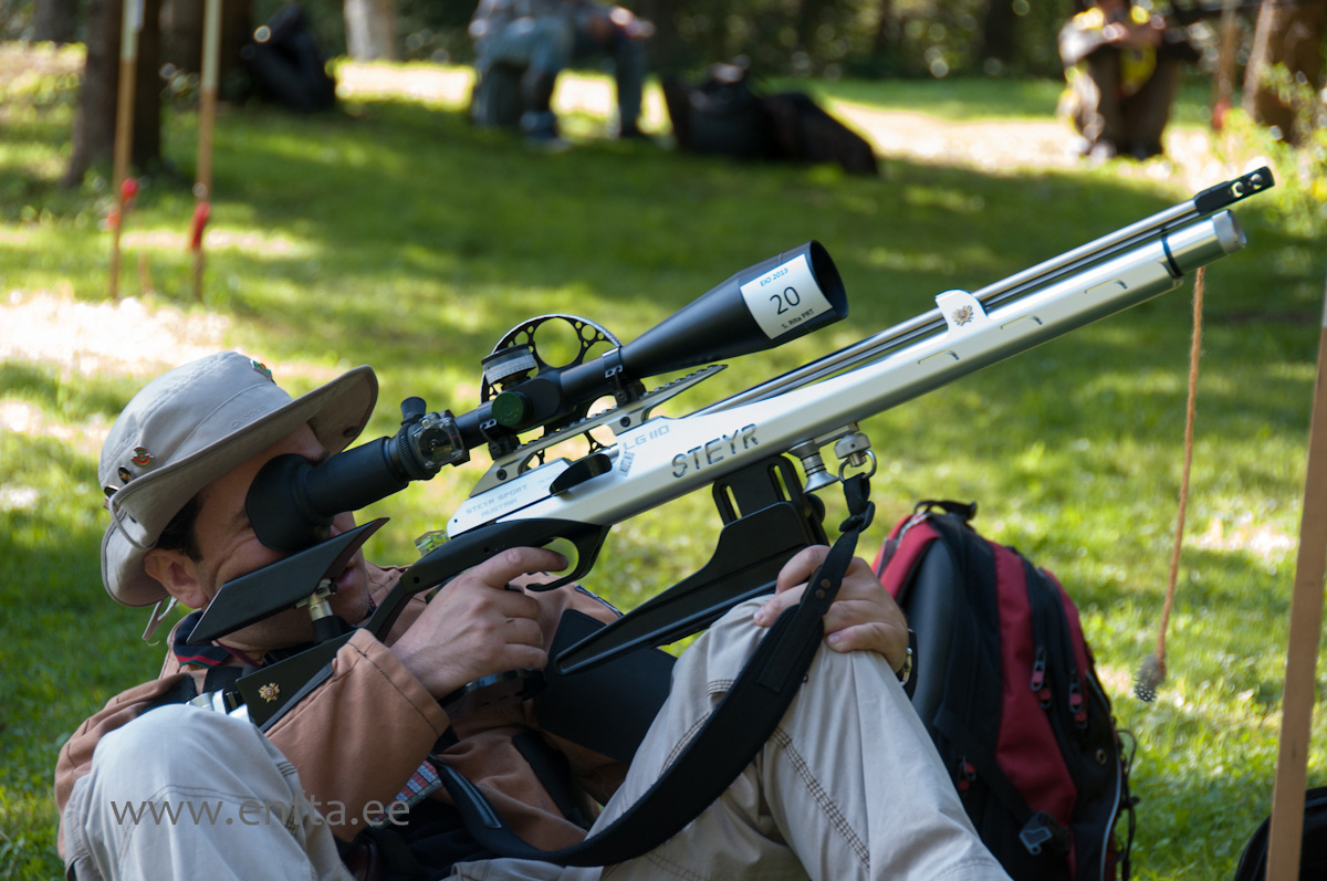 Sergio Rita PT, Steyr LG 100 Field Target, Nikko Stirling Diamond 10-50x60